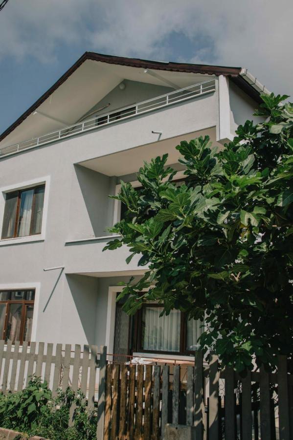 Hotel Agva Marina House Provincia di Provincia di Istanbul Esterno foto